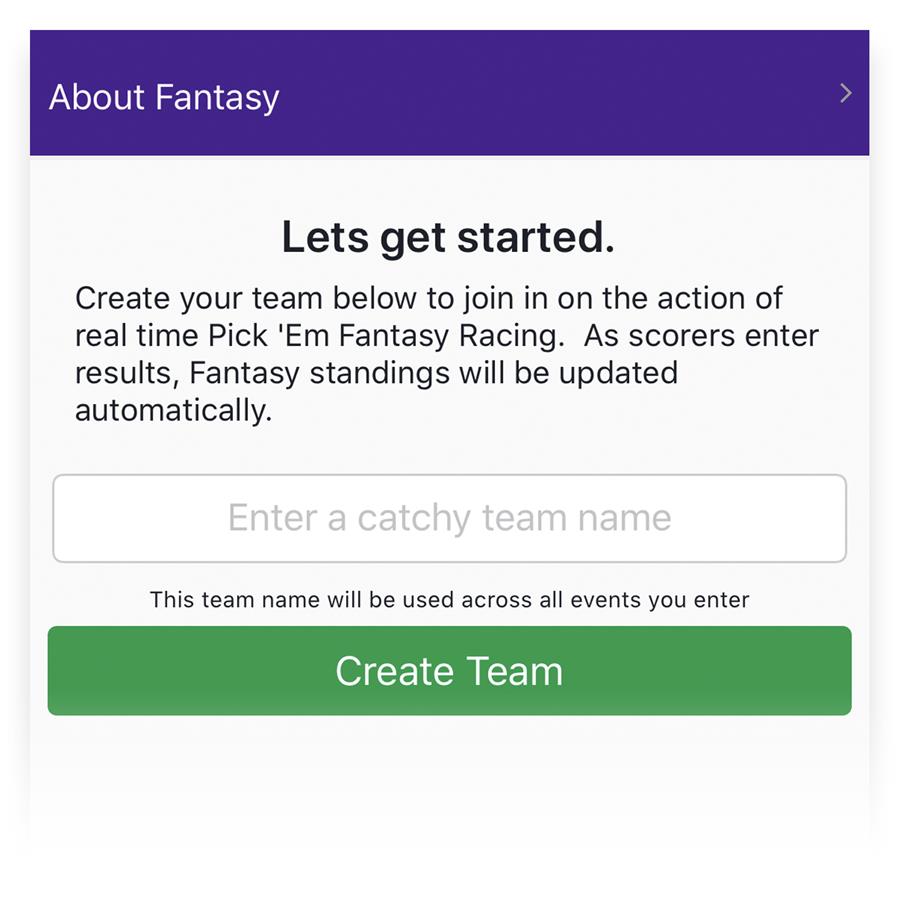 Create a Fantasy Team